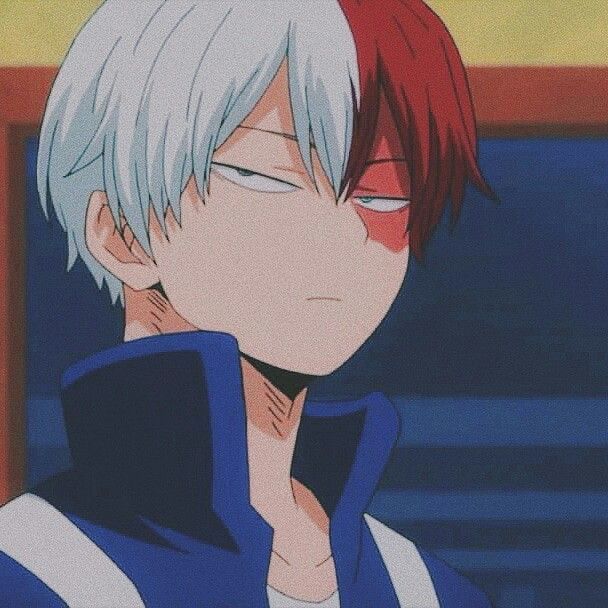 Featured image of post Aesthetic Anime Profile Todoroki Pfp