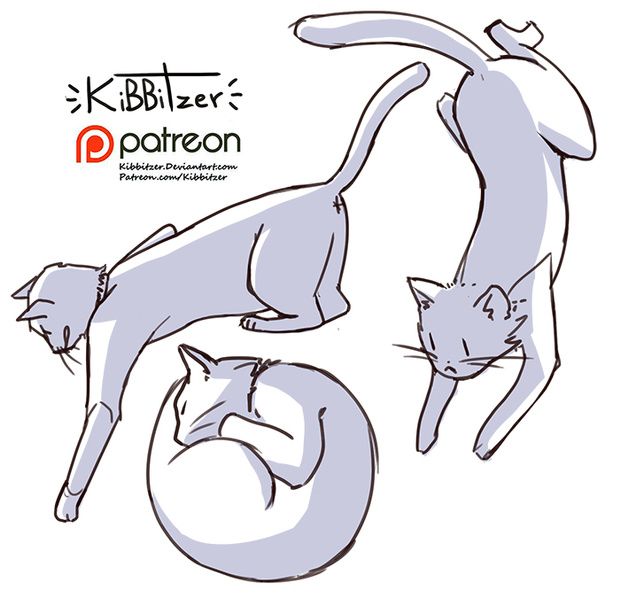 Featured image of post Cat Pose Reference Anime