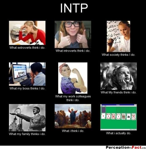 Featured image of post Female Intp Memes