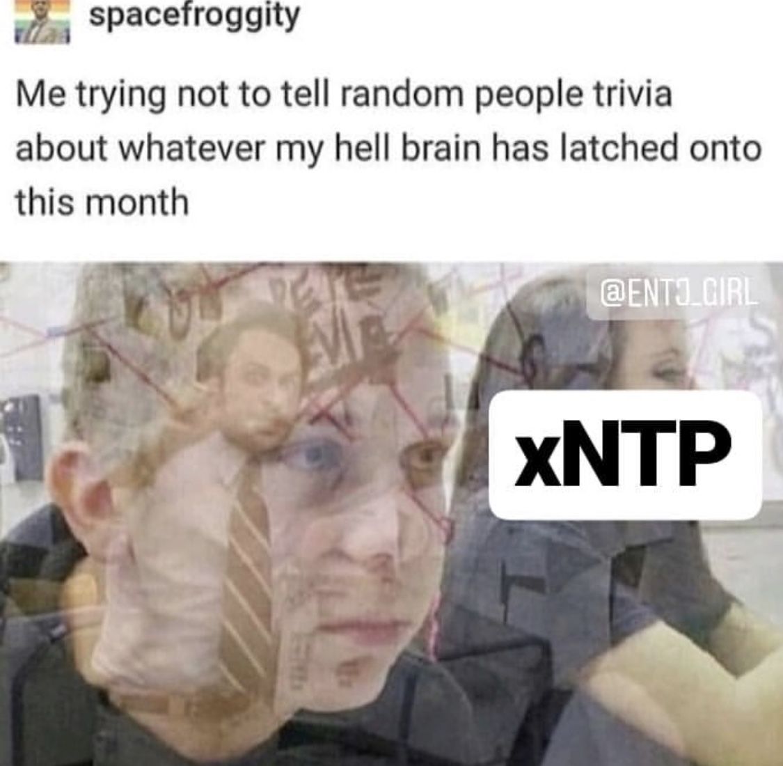 Featured image of post Intp Meme