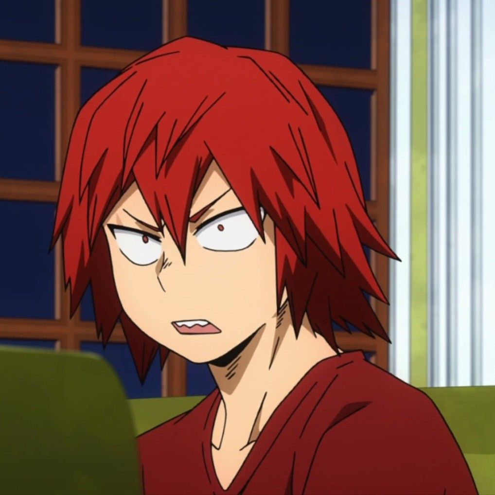 Featured image of post Kirishima Pfp Hair Down