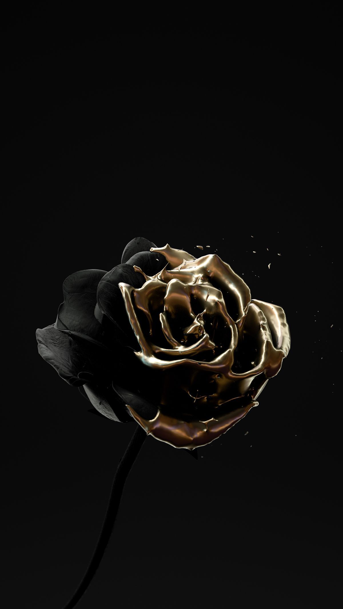 Featured image of post Rose Gold And Black Aesthetic