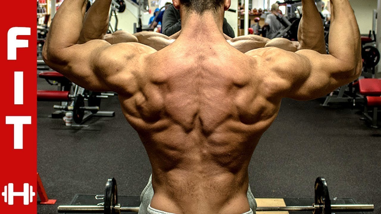 Featured image of post Sergi Constance Back