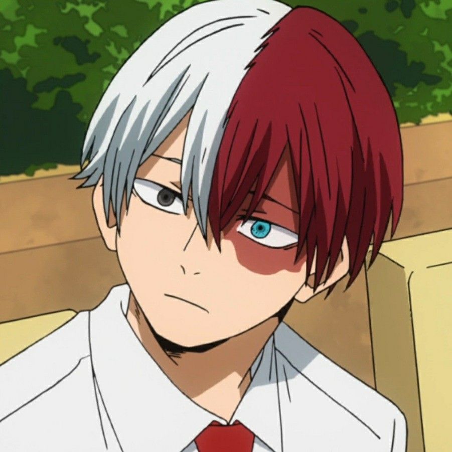 Featured image of post Shoto Todoroki Pfp Angry