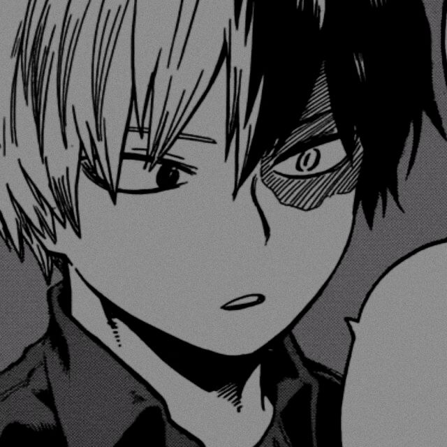 Featured image of post Todoroki Aesthetic Icon Manga