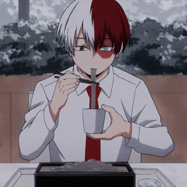 Featured image of post Todoroki Aesthetic Icon