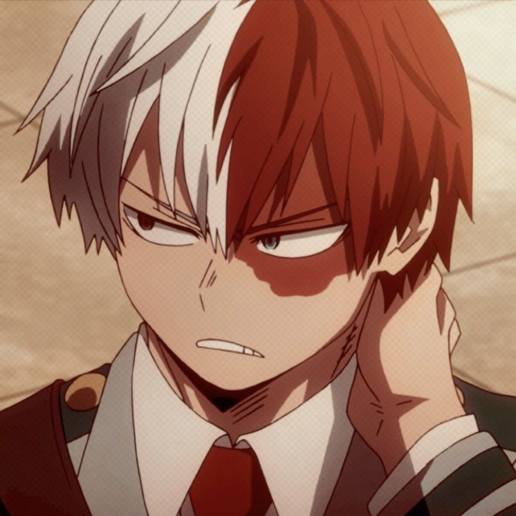 Featured image of post Todoroki Cute Pfp