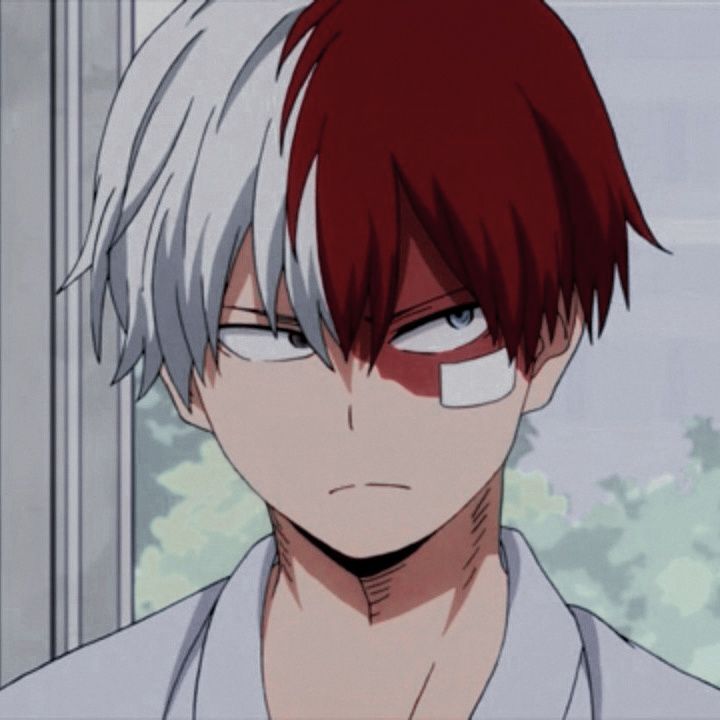 Featured image of post Todoroki Shouto Aesthetic Todoroki Aesthetic Icon