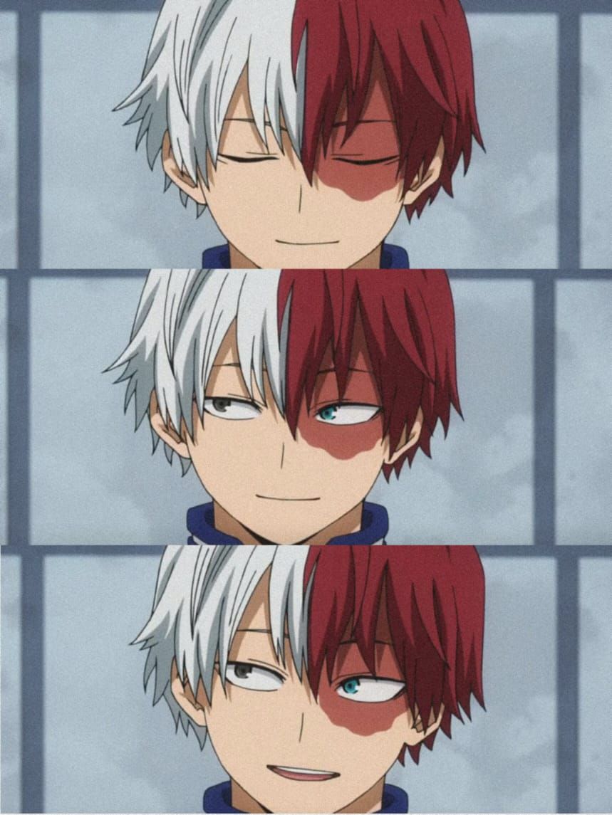 Featured image of post Todoroki Smiling